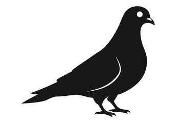 pigeon silhouette vector