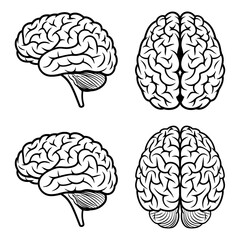 Set of human brain vector illustration