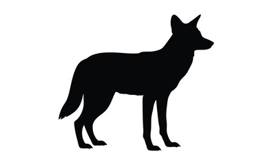 Coyote silhouette, Hand drawn coyote graphic, Forest animal illustration