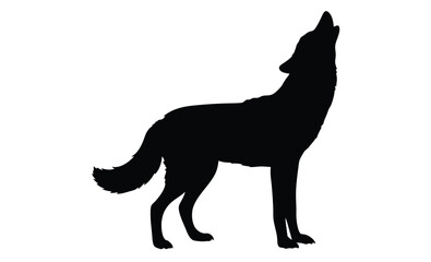 Coyote silhouette, Hand drawn coyote graphic, Forest animal illustration