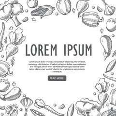 Obraz premium Healthy food vegetables.Vintage retro food.Frame heart vegetable.Heart shape with organic vegetables. Set hand drawn vegetables.Sketches food.Fresh vegetable. Hand drawn illustration.