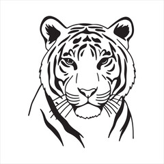 Siberian Tiger – Endangered Predator of the Russian Taiga