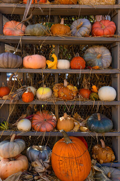 Autumn Colors in downtown historical Jonesborourgh, Tennessee, USA