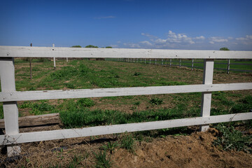 Fototapeta premium Empty Rural Paddock with Wooden Fence