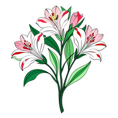  Charming Alstroemeria Flower Bouquet for Artwork