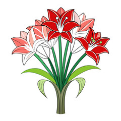  Lovely Amaryllis Bouquet Flower Illustration