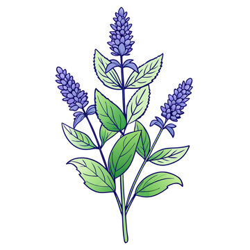 recommend clip art:  Elegant Anise Hyssop Bouquet Flower Artwork