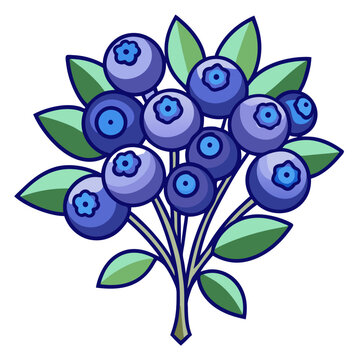 recommend clip art:  Vibrant Blueberry Bouquet Flowers Art