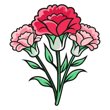 pink red carnations bouquet on white clip art preview