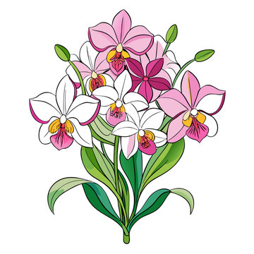 pink and white orchids bouquet on white clip art preview