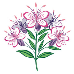  Beautiful Cleome Bouquet Floral Design