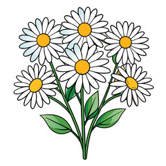 Fototapeta premium Elegant Daisy Bouquet Flower Artwork