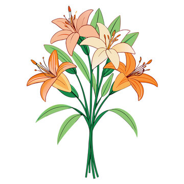 colorful lilies bouquet on white background clip art preview