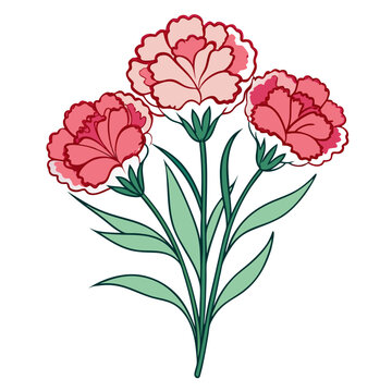 Carnation clip art preview