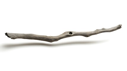 Natural Branch,  smooth,  long