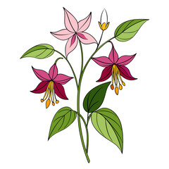  Elegant Epimedium Bouquet of Flowers