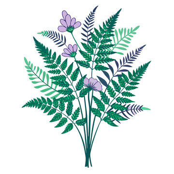 Fern clip art preview