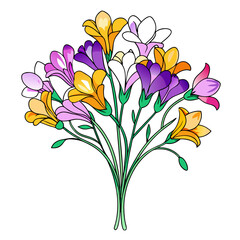  Exquisite Freesia Flower Bouquet Illustration