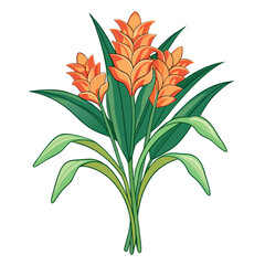  Vibrant Ginger Lily Bouquet Flower Design