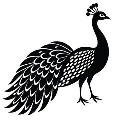 Elegant peacock silhouette with luxurious tail feather, peacock silhouette silhouette