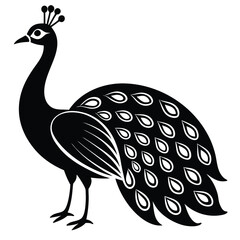 Elegant peacock silhouette with luxurious tail feather, peacock silhouette silhouette