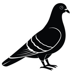 Rock Pigeon silhouette vector illustration, Rock Pigeon silhouette vector, Rock Pigeon PNG