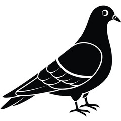 Rock Pigeon silhouette vector illustration, Rock Pigeon silhouette vector, Rock Pigeon PNG