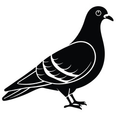 Rock Pigeon silhouette vector illustration, Rock Pigeon silhouette vector, Rock Pigeon PNG