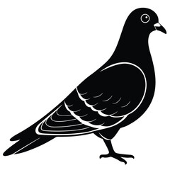 a hen vector silhouette illustration, isolated white background