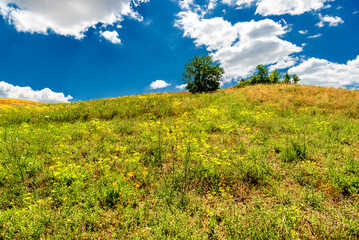 Fototapeta premium rural countryside landscape during a sunny summer day inside Val d'Agri, Basilicata