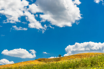 Obraz premium rural countryside landscape during a sunny summer day inside Val d'Agri, Basilicata