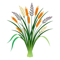  Elegant Monkey Grass Flowers Bouquet