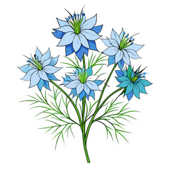 Fototapeta premium Lovely Nigella Bouquet Flowers Design
