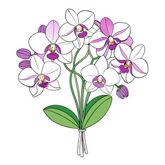  Elegant Orchid Flower Bouquet Design