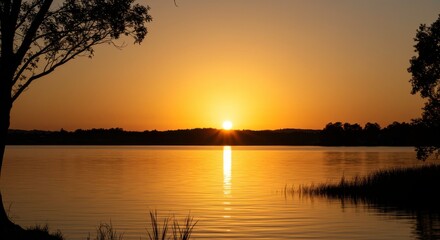 Serene sunset over a calm lake with golden reflections and silhouettes of trees
