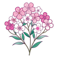 Vivid Phlox Flower Bouquet Illustration