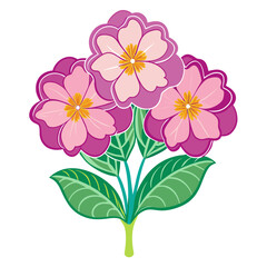  Lovely Primrose Bouquet Floral Design