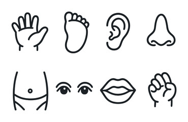 outline vector icons of baby body parts: baby hand, foot, ear, nose, belly, eyes, mouth, tiny fingers. set of line style icons in a modern, minimalist design.