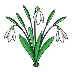  Delicate Snowdrop Bouquet with Stroke Design