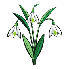  Elegant Snowdrop Bouquet with Stylish Stroke Outline