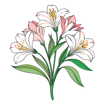 white and pink lilies bouquet on white clip art preview