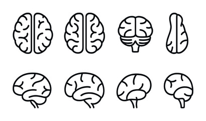 outline vector icons of brain anatomy: left hemisphere, right hemisphere, cerebellum, brain stem, frontal lobe, parietal lobe, occipital lobe, temporal lobe. set of line style icons in a modern,