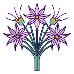  Elegant Spider Flower Bouquet for Creative Use