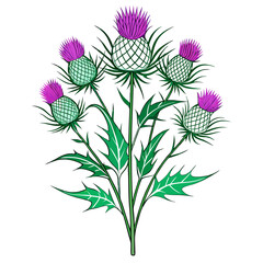  Lovely Thistle Bouquet Flower Design