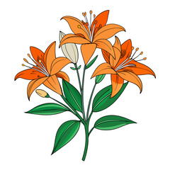  Charming Tiger Lily Bouquet Flower Artwork