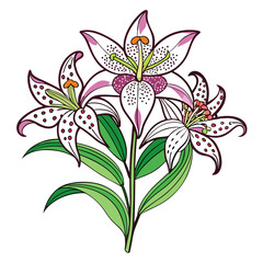  Exquisite Toad Lily Bouquet Floral Design