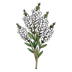  Exquisite White Heather Bouquet Floral Design