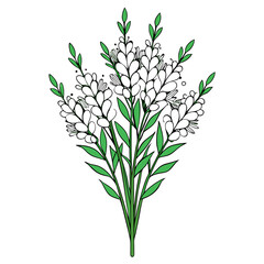  Lovely White Heather Bouquet Floral Art