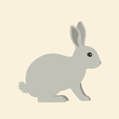 Obraz premium Gray rabbit sitting on a light background
