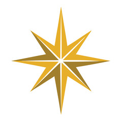 Shining Christmas Star Vector Design